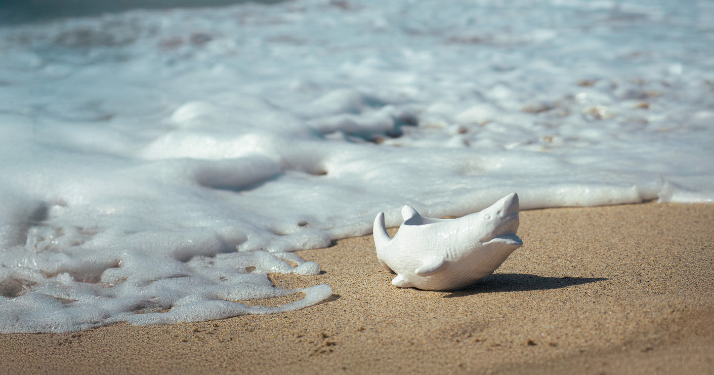 Nautical | Whitewater Wonder Planter - 8"